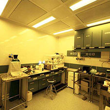 观和孕育中心感恩回馈现场